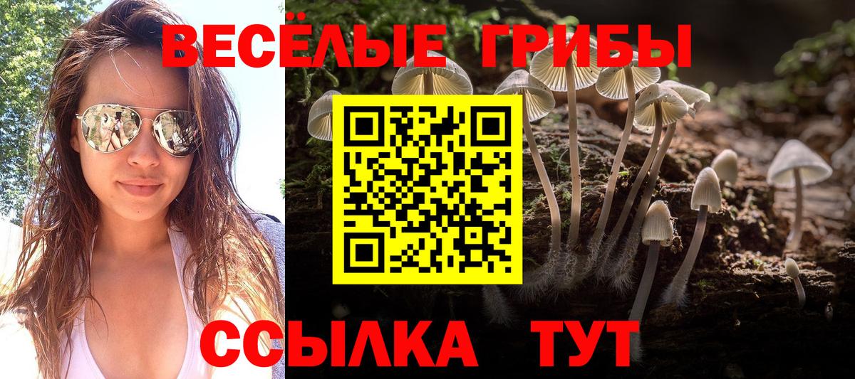 Галлюциногенные грибы Magic Shrooms Кимовск