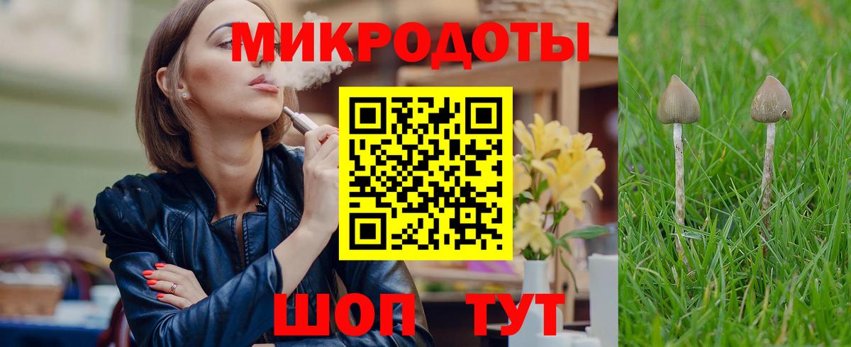 Кимовск  Псилоцибиновые грибы Psilocybine cubensis  Вход с VPN 