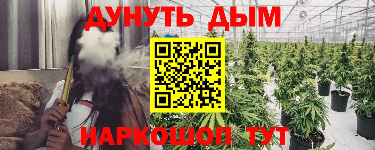 Бошки Шишки Amnesia Кимовск